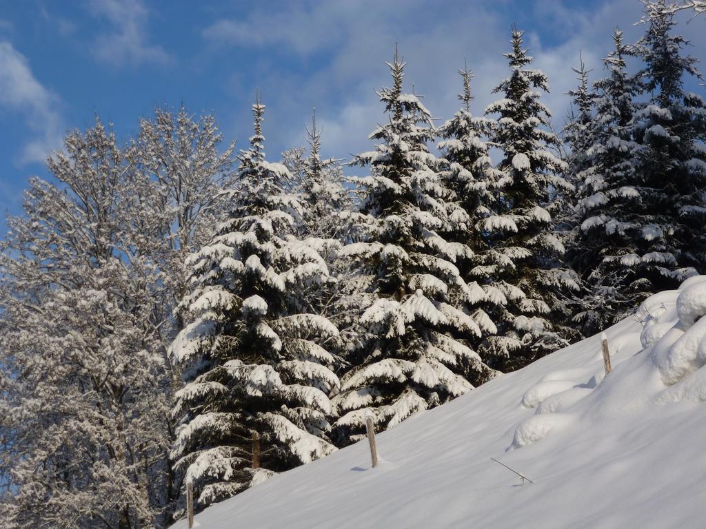 Appartement Ripper Saalbach-Hinterglemm Luaran gambar